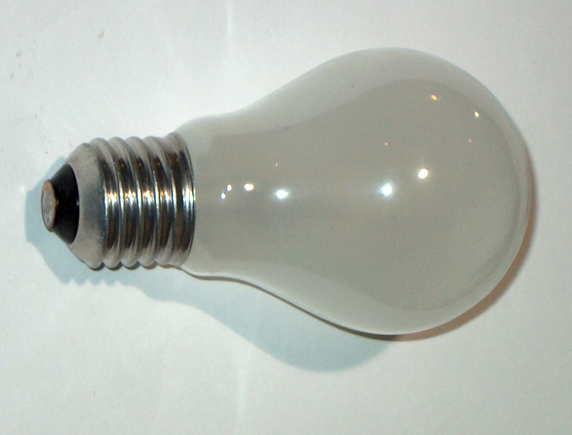 Sylvania 100W 240V